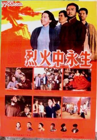 哪里可以办希腊护照电子版